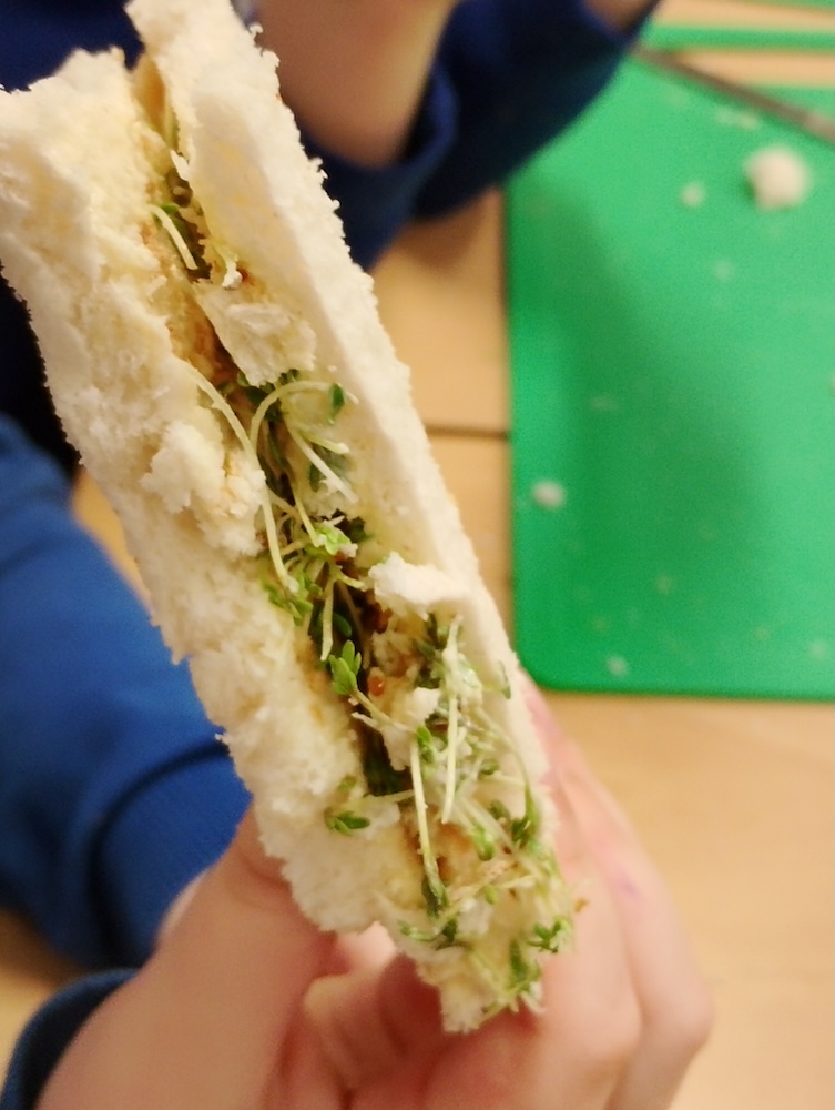 Egg and cress sandwiches